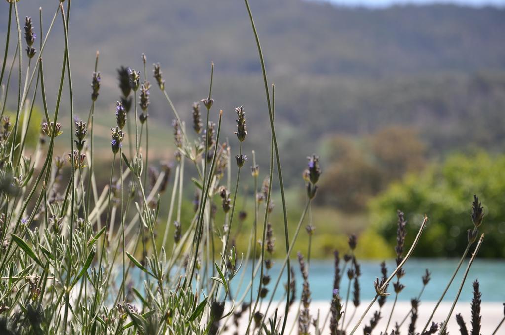 Dunstone Country House Wellington Luaran gambar