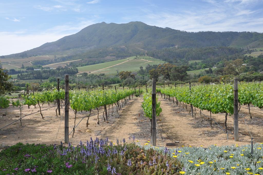 Dunstone Country House Wellington Luaran gambar