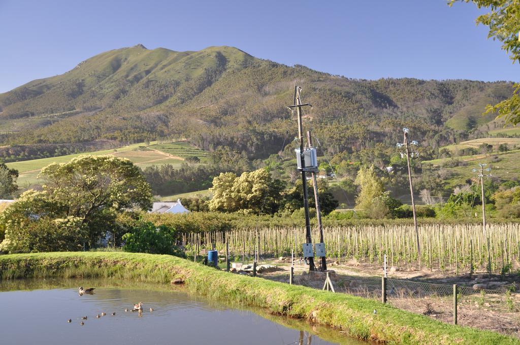 Dunstone Country House Wellington Luaran gambar